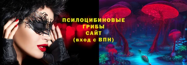 гашик Балахна