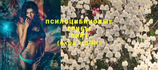 шишки Майский