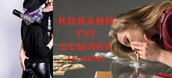 гашик Балахна