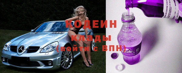 шишки Майский