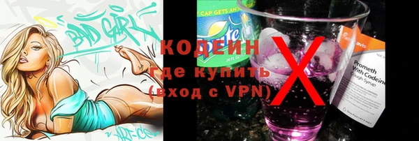 гашик Балахна